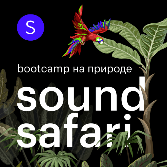 Bootcamp Sound Safari: погружение в саунд-дизайн