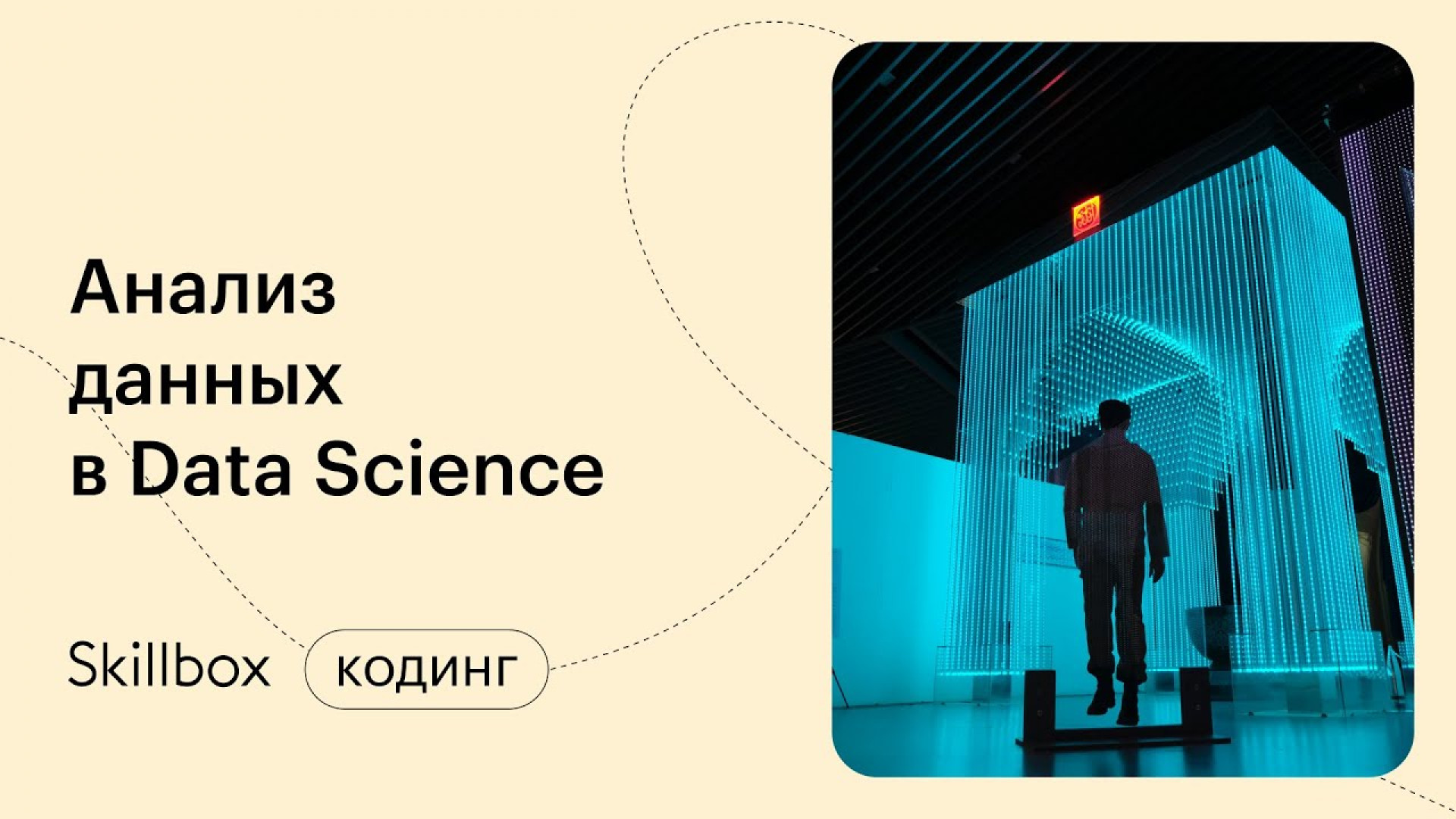 Data Science: видео уроки и вебинары для начинающих (бесплатно) - Skillbox