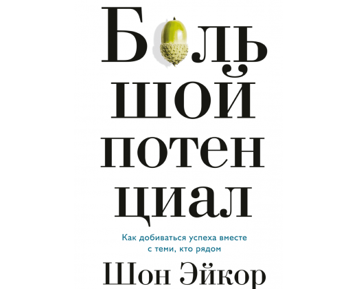 Книга «Большой потенциал» Шона Эйкора