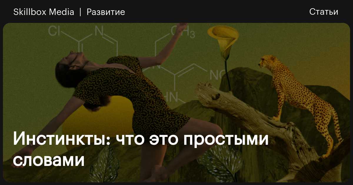 skillbox.ru
