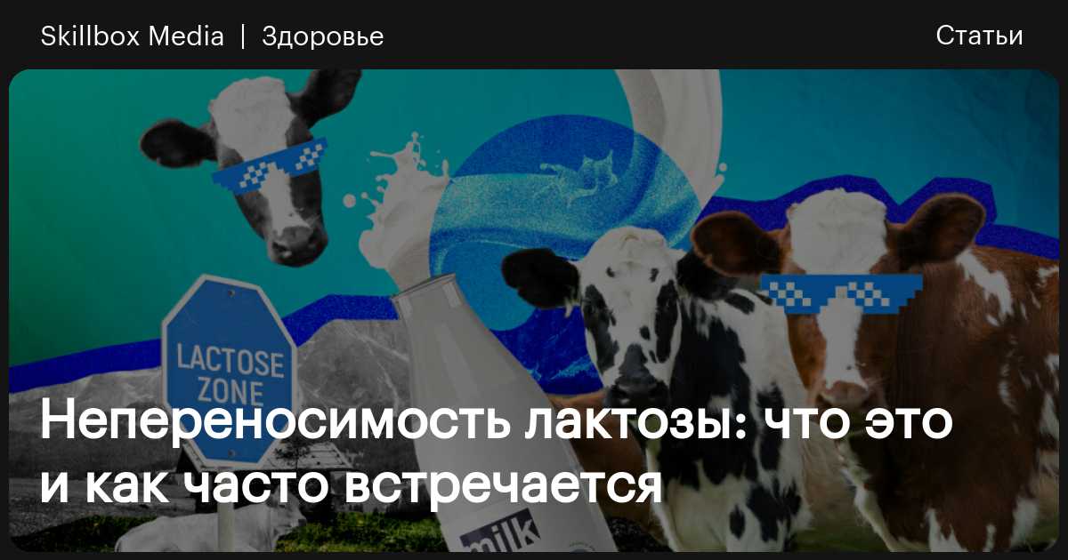 Непереносимость лактозы: что это и как часто встречается / Skillbox Media
