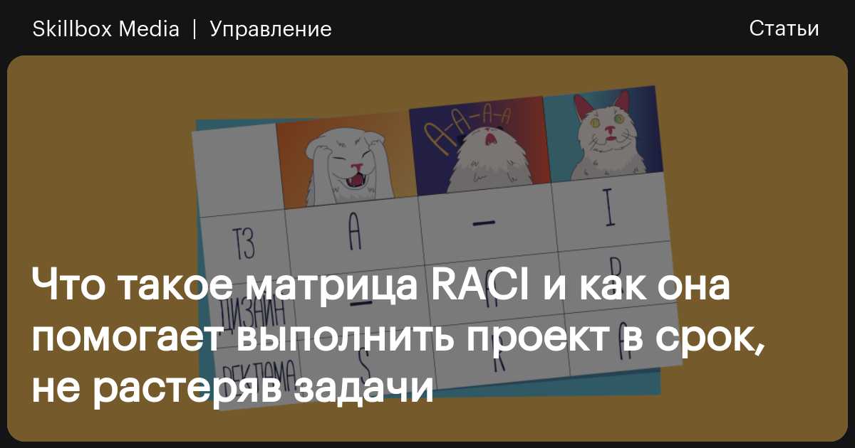 Матрица ответственности проекта raci