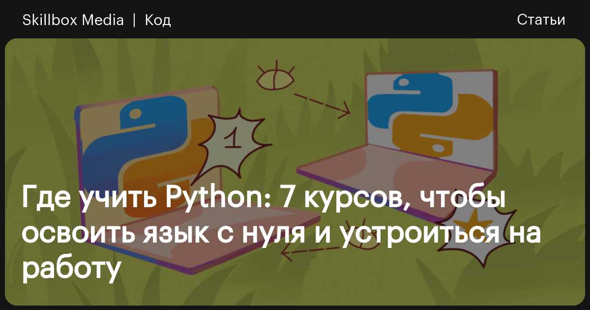 Курс python skillbox