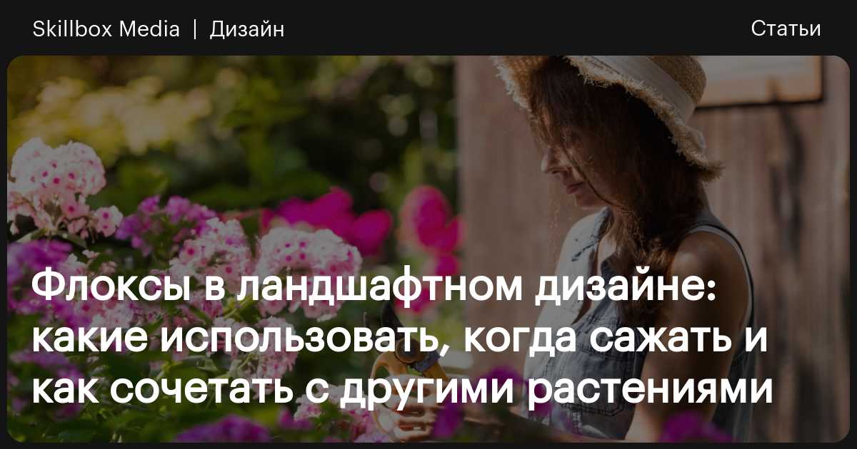 Флоксы, или пламя в саду - Ландшафтный дизайн своими руками